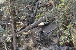 华体会官方-弱小国家出人意料，收获多个奖牌