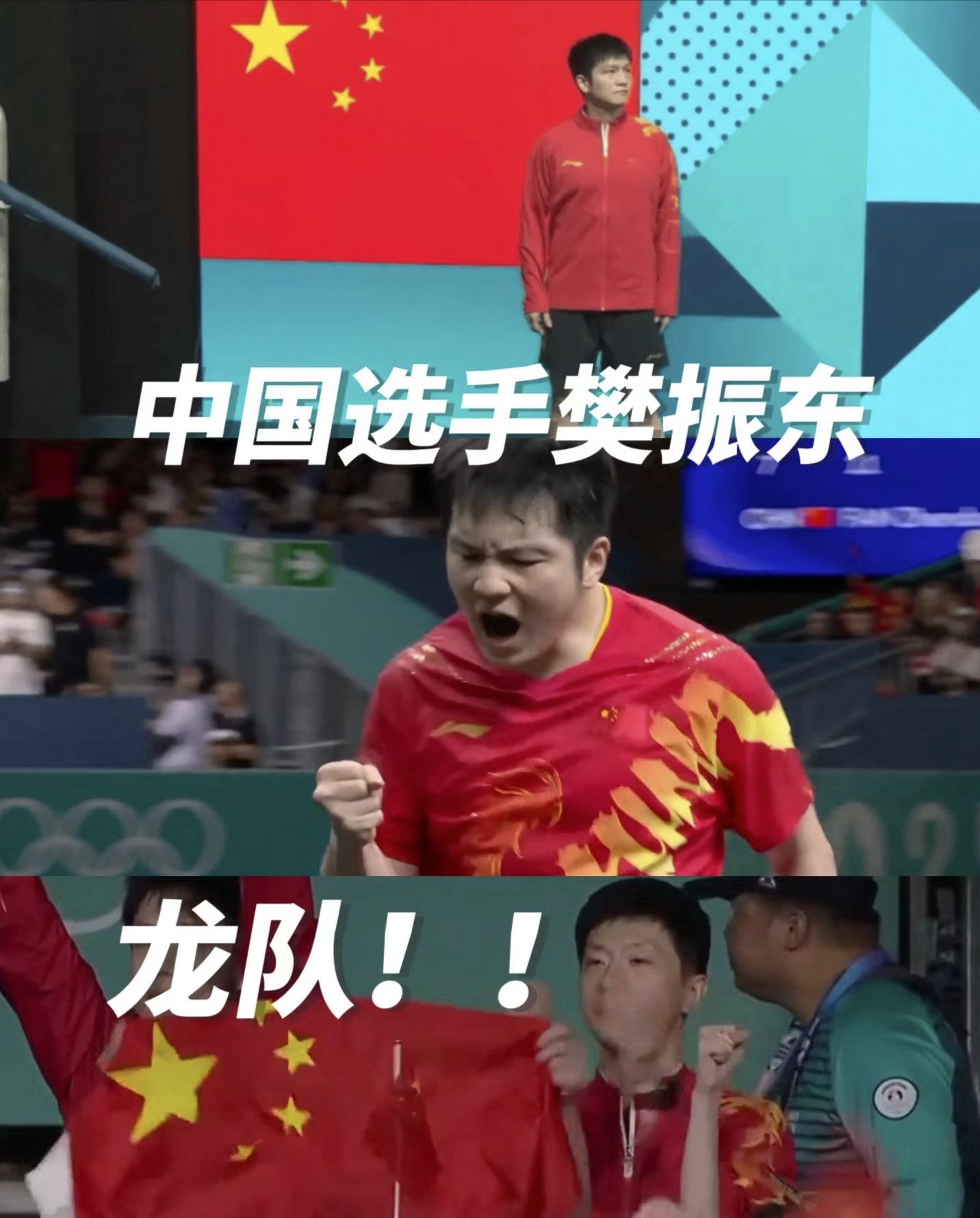 波兰队翻盘瑞典队，樊振东统治全场